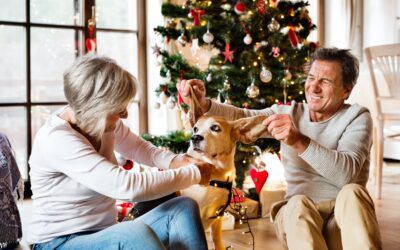 Home for the Holidays: Ensuring Senior Pet Comfort and Happiness