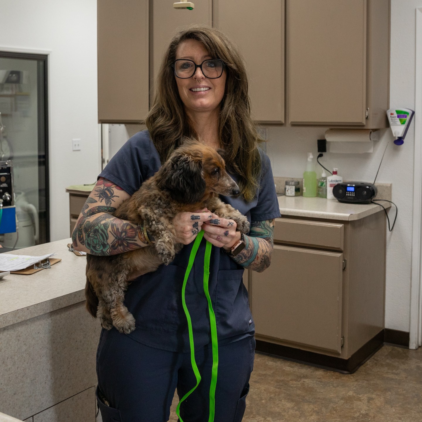 a vet staff  lovingly holds a dog